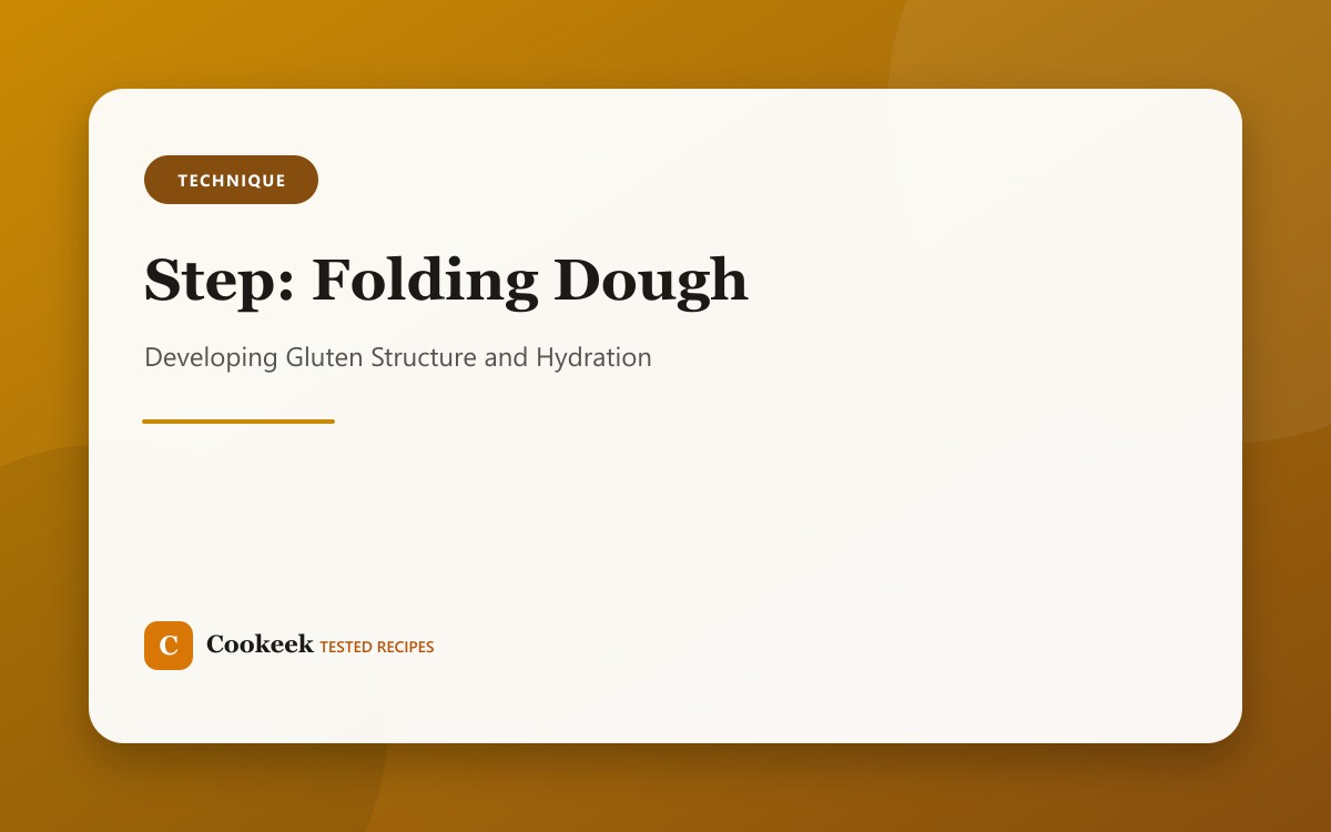 Proofing (Dough Proving)